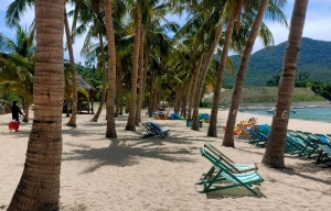 Hoàn Quân Travel trực tiếp tổ chức Tour Cù Lao Chàm