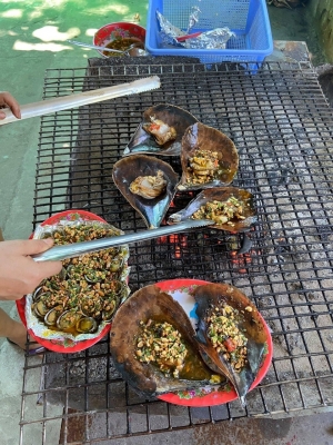 Hoàn Quân Travel trực tiếp tổ chức Tour Cù Lao Chàm