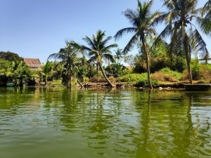 Hoàn Quân Travel trực tiếp tổ chức Tour Cù Lao Chàm