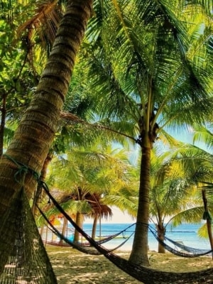 Hoàn Quân Travel trực tiếp tổ chức Tour Cù Lao Chàm